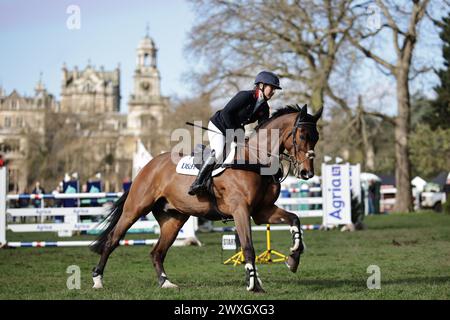 Thoresbury Park, Großbritannien. 30. März 2024. Laura Collett of the United Kingdom mit London 52 während des CCI4*-S Grantham Cup Showjumping beim Thoresby Park International Eventing Spring Carnival am 30. März 2024, Thoresby Park, Vereinigtes Königreich (Foto: Maxime David - MXIMD Pictures) Stockfoto