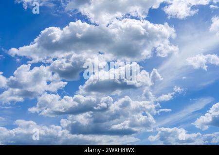 Ruhiger Himmel mit flauschigen Wolken. Weitläufiger blauer Himmel mit verstreuten Kumuluswolken an einem hellen Tag. Stockfoto