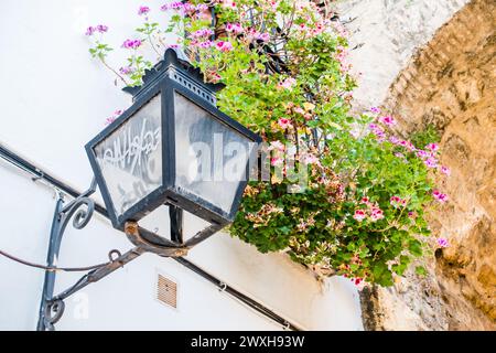 Eine Szene im Freien mit einer Lampe und einem Korb mit Blumen neben einem Gebäude Stockfoto