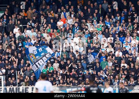 ZWOLLE, Mac3Park Stadium, 31-03-2024, Saison 2023 / 2024, Dutch Eredivisie. Während des Spiels PEC - Ajax, Endergebnis 1:3, Fans Zwolle Atmosphäre im Stadion Stockfoto