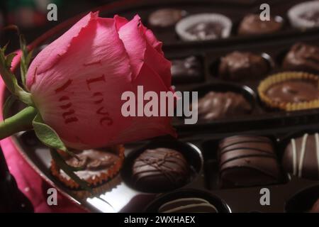 Verschiedene Pralinen umgeben eine Blume in der Mitte einer Schachtel Stockfoto