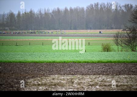 Oudenaarde, Belgien. 31. März 2024. Illustration, aufgenommen während des Frauenrennens der „Ronde van Vlaanderen/Tour des Flandres/Tour of Flanders“, eintägiges Radrennen, 163 km mit Start und Ziel in Oudenaarde, Sonntag, den 31. März 2024. BELGA FOTO JASPER JACOBS Credit: Belga News Agency/Alamy Live News Stockfoto