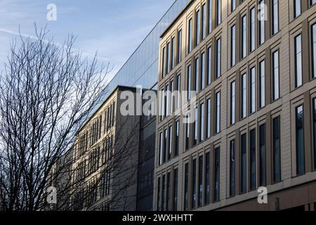 Ampel an der Straßenecke mit Wolkenkratzern Stockfoto