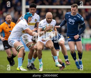 31. März 2024; Salford Community Stadium, Salford, Lancashire, England; Gallagher Premiership Rugby, Sale Sharks versus Exeter Chiefs; Olly Woodburn von Exeter Chiefs wird angegriffen Stockfoto