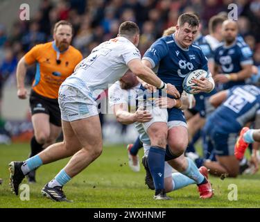 31. März 2024; Salford Community Stadium, Salford, Lancashire, England; Gallagher Premiership Rugby, Sale Sharks versus Exeter Chiefs; James Harper von Sale Sharks wird übernommen Stockfoto