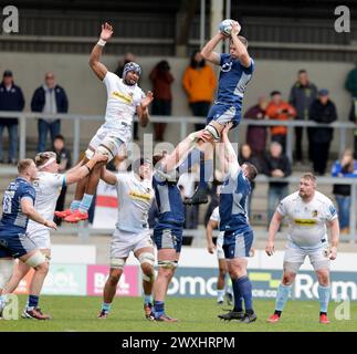 31. März 2024; Salford Community Stadium, Salford, Lancashire, England; Gallagher Premiership Rugby, Sale Sharks gegen Exeter Chiefs; Josh Beaumont von Sale Sharks macht den Ball aus Stockfoto