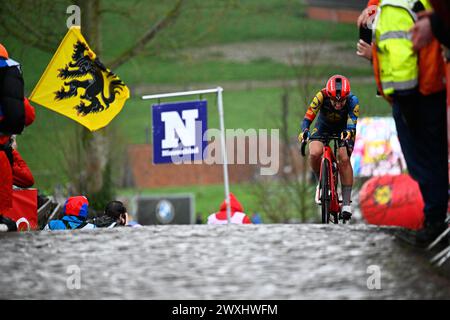 Oudenaarde, Belgien. 31. März 2024. Die niederländische Shirin Van Anrooij von Lidl-Trek in Aktion während des Frauenrennens der „Ronde van Vlaanderen/ Tour des Flandres/ Tour of Flanders“, 163 km, mit Start und Ziel in Oudenaarde, Sonntag, den 31. März 2024. BELGA FOTO JASPER JACOBS Credit: Belga News Agency/Alamy Live News Stockfoto