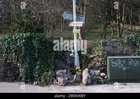 Edinburgh Schottland, Vereinigtes Königreich 31 März 2024. Blumen links an der Kreuzung von Corstorphine Road und Balgreen Road nach einem Polizeivorfall. Credit sst/alamy Live News Stockfoto