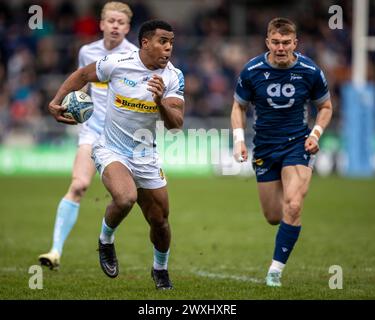 Salford, Lancashire, Großbritannien. 31. März 2024; Salford Community Stadium, Salford, Lancashire, England; Gallagher Premiership Rugby, Sale Sharks versus Exeter Chiefs; Immanuel Feyi-Waboso von Exeter Chiefs läuft in einem Try Credit: Action Plus Sports Images/Alamy Live News Stockfoto