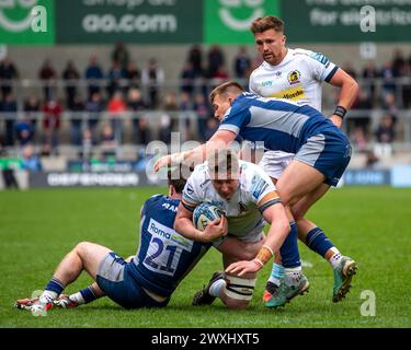 Salford, Lancashire, Großbritannien. 31. März 2024; Salford Community Stadium, Salford, Lancashire, England; Gallagher Premiership Rugby, Sale Sharks versus Exeter Chiefs; Jacques Vermeulen von Exeter Chiefs wird von Sam Dugdale von Sale Sharks angegriffen. Credit: Action Plus Sports Images/Alamy Live News Stockfoto
