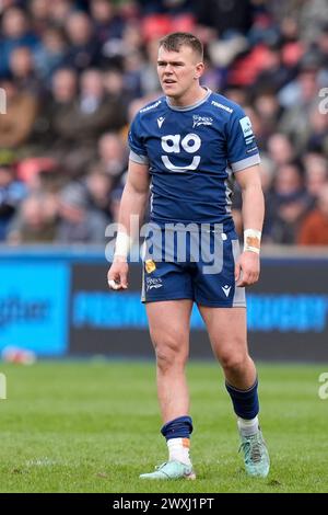 Joe Carpenter of Sale Sharks während des Gallagher Premiership Matches Sale Sharks vs Exeter Chiefs im Salford Community Stadium, Eccles, Vereinigtes Königreich, 31. März 2024 (Foto: Steve Flynn/News Images) Stockfoto