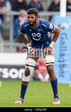 Hyron Andrews von Sale Sharks während des Gallagher Premiership Matches Sale Sharks vs Exeter Chiefs im Salford Community Stadium, Eccles, Großbritannien, 31. März 2024 (Foto: Steve Flynn/News Images) Stockfoto