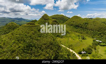 Luftdrohne von Kalksteingipfeln im Hochland. Hinakpan Chocolate Hills. Negros, Philippinen Stockfoto