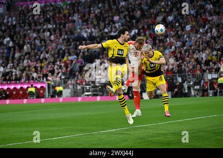 MÜNCHEN, Deutschland. , . Mats HUMMELS, Harry KANE und 26 Julian RYERSON im Einsatz beim Bundesliga-Fußball-Spiel zwischen dem FC Bayern München und Borussia Dortmund, BVB, am 30 in der Allianz Arena in München. März 2024, Deutschland. DFL, Fussball, 0:2(Foto und Copyright @ Jerry ANDRE/ATP Images) (ANDRE Jerry/ATP/SPP) Credit: SPP Sport Press Photo. /Alamy Live News Stockfoto