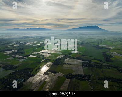 Ackerland und Reisfelder während des Sonnenaufgangs. Negros, Philippinen Stockfoto