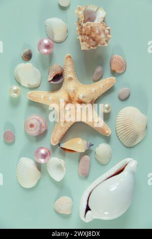 Muscheln, Seesterne und Perlen auf hellem Hintergrund. Flache Lage. Tropischer Sommer Hintergrund. Stockfoto