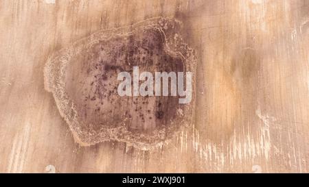 Frühlingsstruktur über dem Ackerfeld, Tierspuren Stockfoto