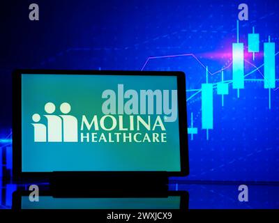 Deutschland - 31. März 2024: In dieser Abbildung wird das Logo von Molina Healthcare Inc auf einem Tablet angezeigt Stockfoto
