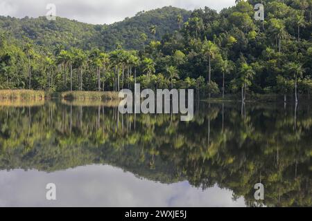 131 El Palmar See von seiner Westufer Bootsanlegestelle, Mount Las Delicias im Hintergrund, Las Terrazas ländliche touristische Öko-Gemeinschaft. Candelaria-Kuba. Stockfoto