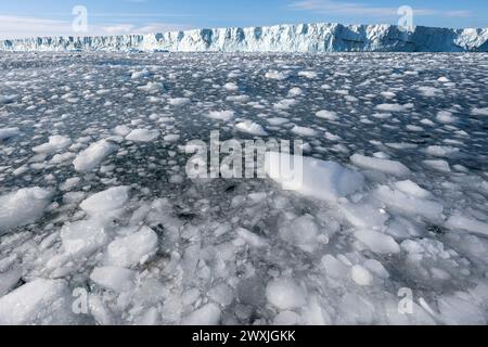 Antarktis, Rossmeer, Victoria Land, Terra Nova Bay. Campbell-Gletscher. Die Bucht ist voller Bergbausteine und grosses Eis von großer Kalbung. Stockfoto