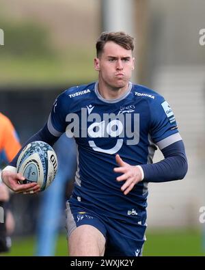 Tom Roebuck von Sale Sharks läuft mit dem Ball während des Gallagher Premiership Matches Sale Sharks vs Exeter Chiefs im Salford Community Stadium, Eccles, Großbritannien, 31. März 2024 (Foto: Steve Flynn/News Images) Stockfoto