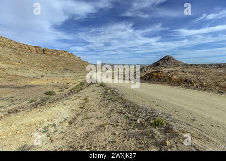 Panoramablick über eine Schotterstraße durch die Wüste wie Steppe im Süden Namibias unter blauem Himmel im Sommer Stockfoto