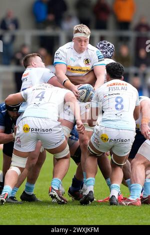 Eccles, Großbritannien. 31. August 2023. Lewis Pearson von Exeter Chiefs während des Gallagher Premiership Match Sale Sharks vs Exeter Chiefs im Salford Community Stadium, Eccles, Vereinigtes Königreich, 31. März 2024 (Foto: Steve Flynn/News Images) in Eccles, Vereinigtes Königreich am 31. März 2023. (Foto: Steve Flynn/News Images/SIPA USA) Credit: SIPA USA/Alamy Live News Stockfoto