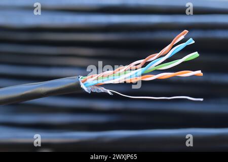 Symmetrisches Kabel. Verdrillte Drähte im Kabel. Dieses Kabel wird verwendet, um Computer mit einem Netzwerk zu verbinden. Stockfoto