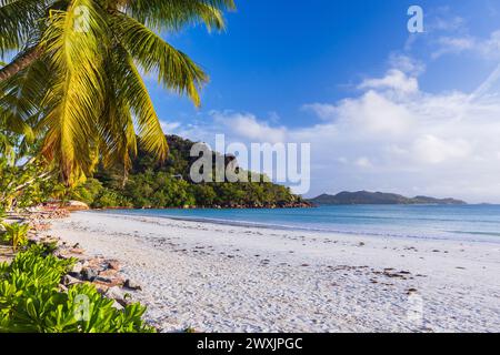 Blick auf die Küste mit Palmen und weißem Sand unter blauem Himmel an einem sonnigen Sommertag. Cote D'Or Beach, Praslin Island, Seychellen. Stockfoto