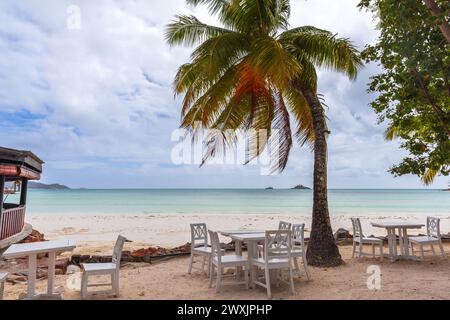 Blick auf die Seychellen mit weißen Holztischen und -Stühlen unter Kokospalmen. Cote D'Or Beach, Praslin Island Stockfoto