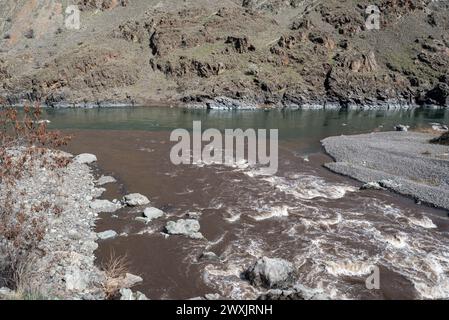 Der Imnaha River, der mit Schlamm aus schlechter Landnutzung beladen ist, mündet in den Snake River im Hells Canyon, Oregon. Stockfoto