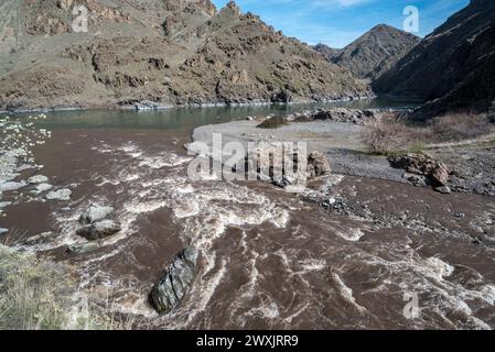 Der Imnaha River, der mit Schlamm aus schlechter Landnutzung beladen ist, mündet in den Snake River im Hells Canyon, Oregon. Stockfoto