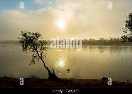 Atmosphärischer nebeliger Sonnenaufgang über dem Fitzroy River, nahe Fitzroy Crossing, Western Australia, WA, Australien Stockfoto