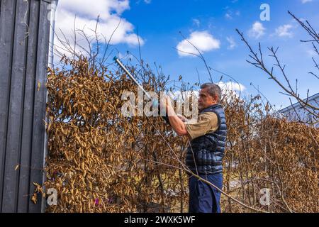 Nahaufnahme eines Mannes, der an einem sonnigen Frühjahrstag im Garten einer Villa mit einer elektrischen Heckenschere Sträucher trimmt. Schweden. Stockfoto