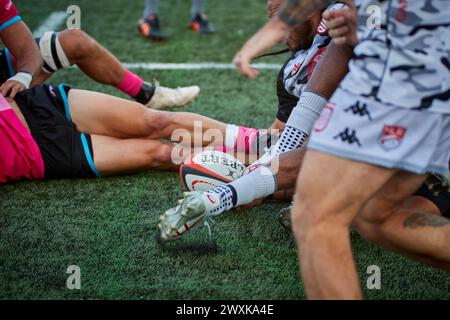 Fort Lauderdale, FL, USA. 31. März 2024. Miami Sharks gegen San Diego Legion reguläre MLR Rugby-Saison 2024 im Florida Blue Training Center, Fort Lauderdale, Florida, USA. Quelle: Yaroslav Sabitov/YES Market Media/Alamy Live News. Stockfoto