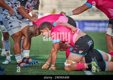 Fort Lauderdale, FL, USA. 31. März 2024. Miami Sharks gegen San Diego Legion reguläre MLR Rugby-Saison 2024 im Florida Blue Training Center, Fort Lauderdale, Florida, USA. Quelle: Yaroslav Sabitov/YES Market Media/Alamy Live News. Stockfoto