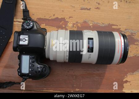 Canon 6D Mark II + EF 70-200mm F2. 8L IST. Stockfoto