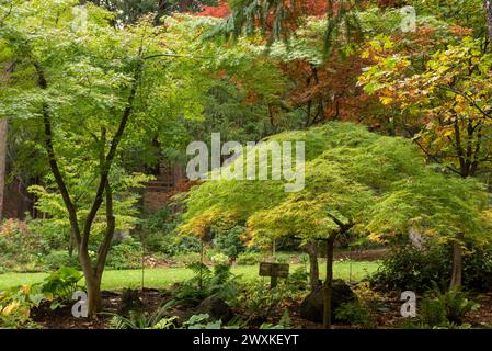Dunsmuir Botanical Gardens im Herbst mit Herbstfarben Stockfoto