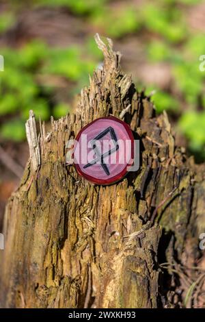 Rune Odal (Othala) aus Holz geschnitzt auf einem alten Stumpf - Elder Futhark Stockfoto