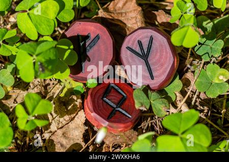 Runen Fehu, Algiz (Elhaz) und Odal (Othala) aus Holz auf dem Gras geschnitzt - Elder Futhark Stockfoto