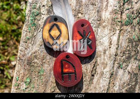 Ein Satz von Talismanen aus drei Runen - Odal (Othala), Yr (Bogen) und Doppel Calc (Kelch). Angelsächsischer Futhark (futhorc) Stockfoto