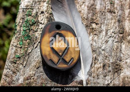 Rune Odal (Othala) aus Holz auf hölzernem Hintergrund geschnitzt - Elder Futhark Stockfoto