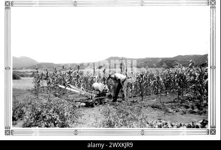 Viejas Band of Kumeyaay Indians: Foto von Adolph Brown aus dem Baron Long Reservation, der seinen 3,5 PS starken Vaughn-Traktor zur Arbeit seines Corn Patch Ca startete. 1936-1942 Stockfoto