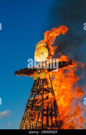 Verbrennen eines großen Kuschels. Russische und slawische Frühlingsferien Maslenitsa (Maslenica) Stockfoto