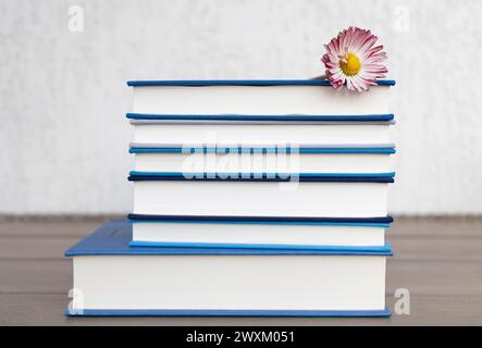 Auf dem Tisch befindet sich ein Stapel von mehreren Büchern mit blauen Deckeln und einer Gänseblümchenblume auf einem hellen Hintergrund. Lesen, Erziehung, Weisheit Stockfoto