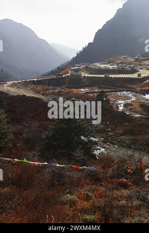 Wunderschöner Bach, der durch das malerische Bergtal fließt, umgeben von himalaya und alpinem Wald im Osten von sikkim nahe der Grenze zu indien china Stockfoto