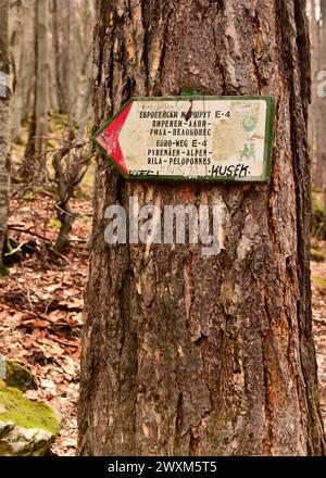 E4 Europäischer Fernwanderweg Wegweiser für die Pyrenäen zur internationalen Wanderroute Peloponnes im Vitoscha-Berg bei Sofia, Bulgarien Stockfoto