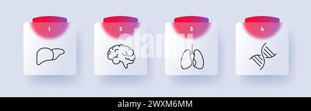 Symbol Organset. Leber, Gehirn, Lunge, dna, Nummerierung, flaches Design. Selbstpflegekonzept. Glassmorphismus-Stil Stock Vektor