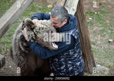 Petar Tubic aus Gornja Paklenica in der Nähe von Doboj auf dem Mount Ozren in Bosnien und Herzegowina rettete zwei Bärenjungen vor dem sicheren Tod, nachdem sie ihre Mutter in freier Wildbahn verloren hatten. Jetzt sind Jungtiere gewachsene Bären und zahme Haustiere namens Masa anda Ljubica. Vor fünf Jahren fand Tubic Masa verwundbar und allein in einem Wald. Er hatte Angst, dass andere Tiere ihr wehtun würden, also nahm er sie mit nach Hause. Er wusste nichts über Bären, also fragte er einen örtlichen Tierarzt und las Fachliteratur. Er sagt, dass sie wie jedes andere Haustier war. Morgens trank sie Milch mit etwas Honig, während Tubic und seine Frau ihre Co tranken Stockfoto