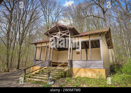 Adolf-Weygandt-Hütte, Schutzhütte, Rabendgrund, Wald, Wiesbaden, Hessen, Deutschland *** Adolf Weygandt Hütte, Schutzhütte, Rabendgrund, Wald, Wiesbaden, Hessen, Deutschland Stockfoto